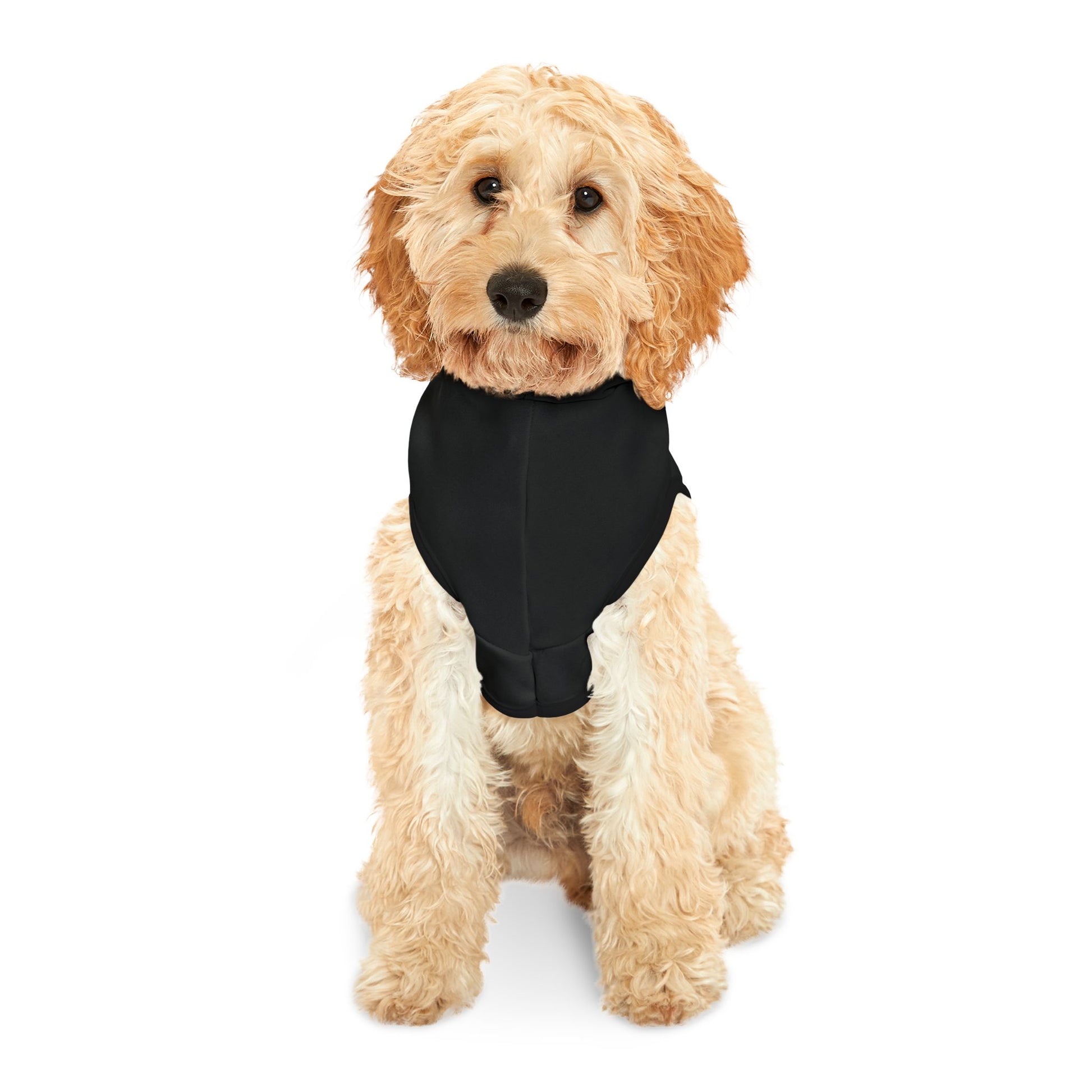 Vampyro Crimson Built for The Night Certified Black Pet Hoodie — Lightweight Hooded Dog & Cat Sweater