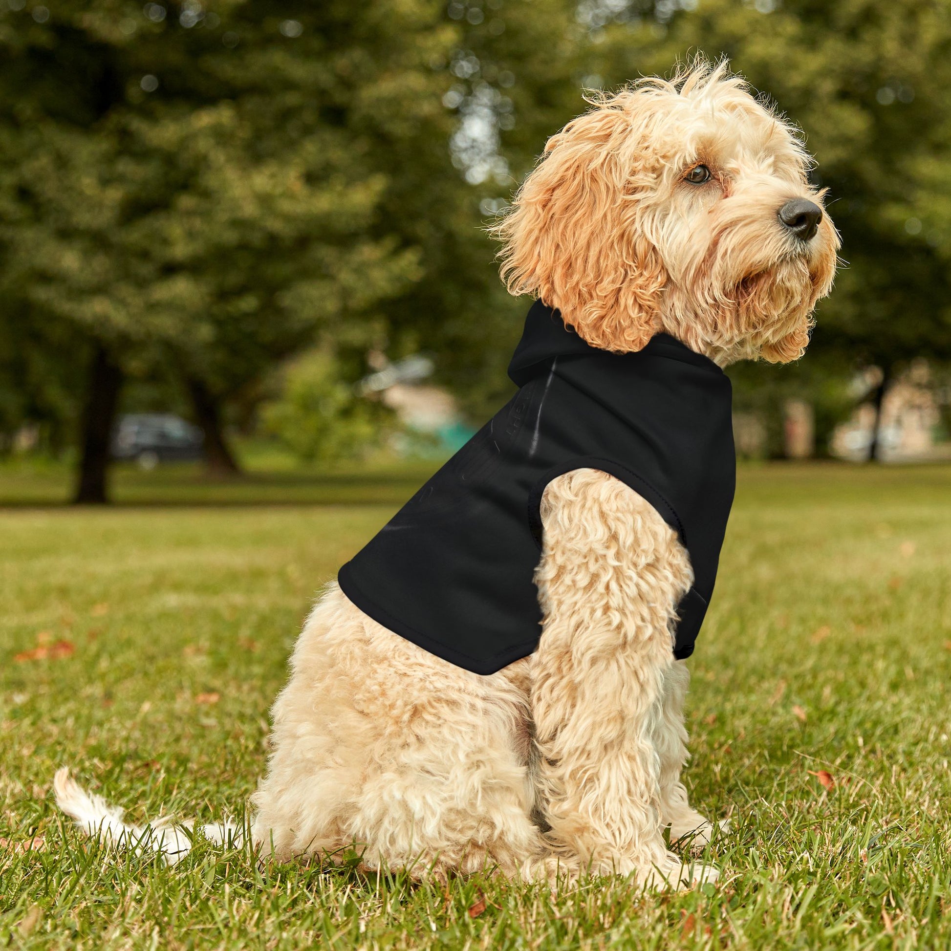 Vampyro Crimson Built for The Night Certified Black Pet Hoodie — Lightweight Hooded Dog & Cat Sweater