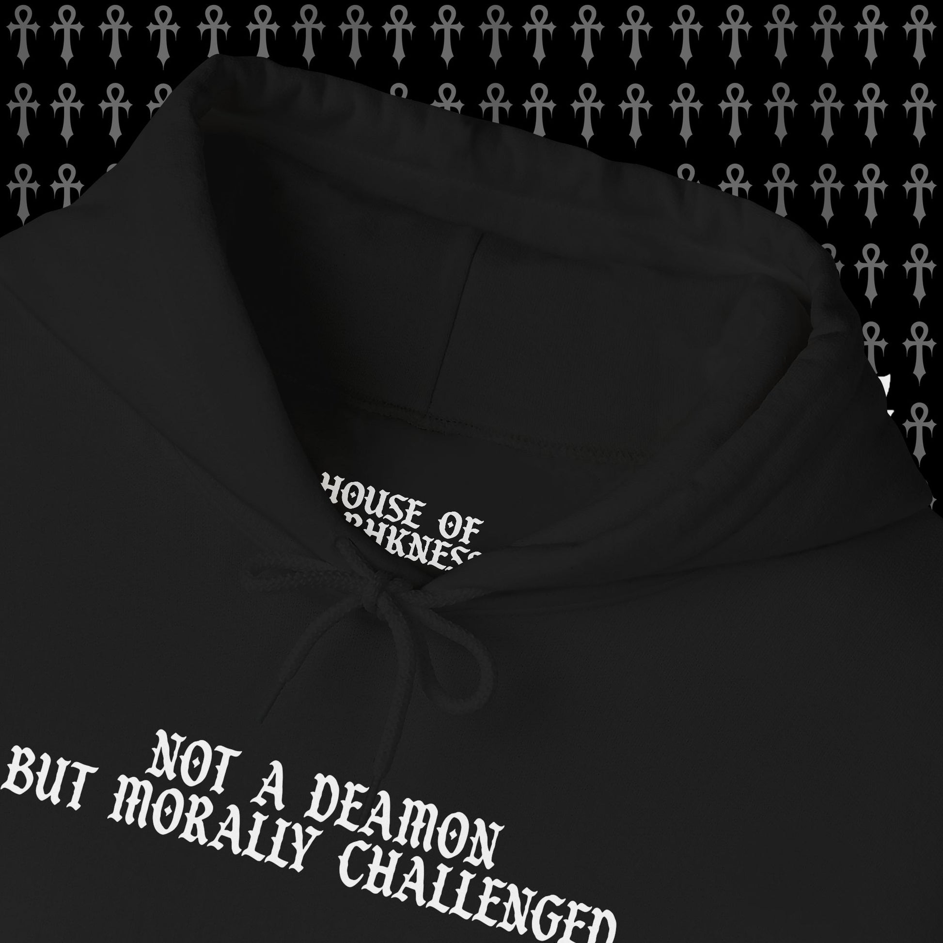 Not a Demon but Morally Challenged Hoodie