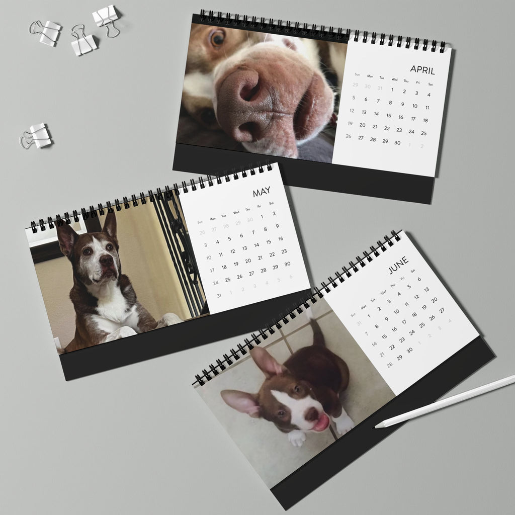 Personalized 2026 Desktop Calendar for Jeter — Photo Grid Desk Calendar (Custom Pet & Family)