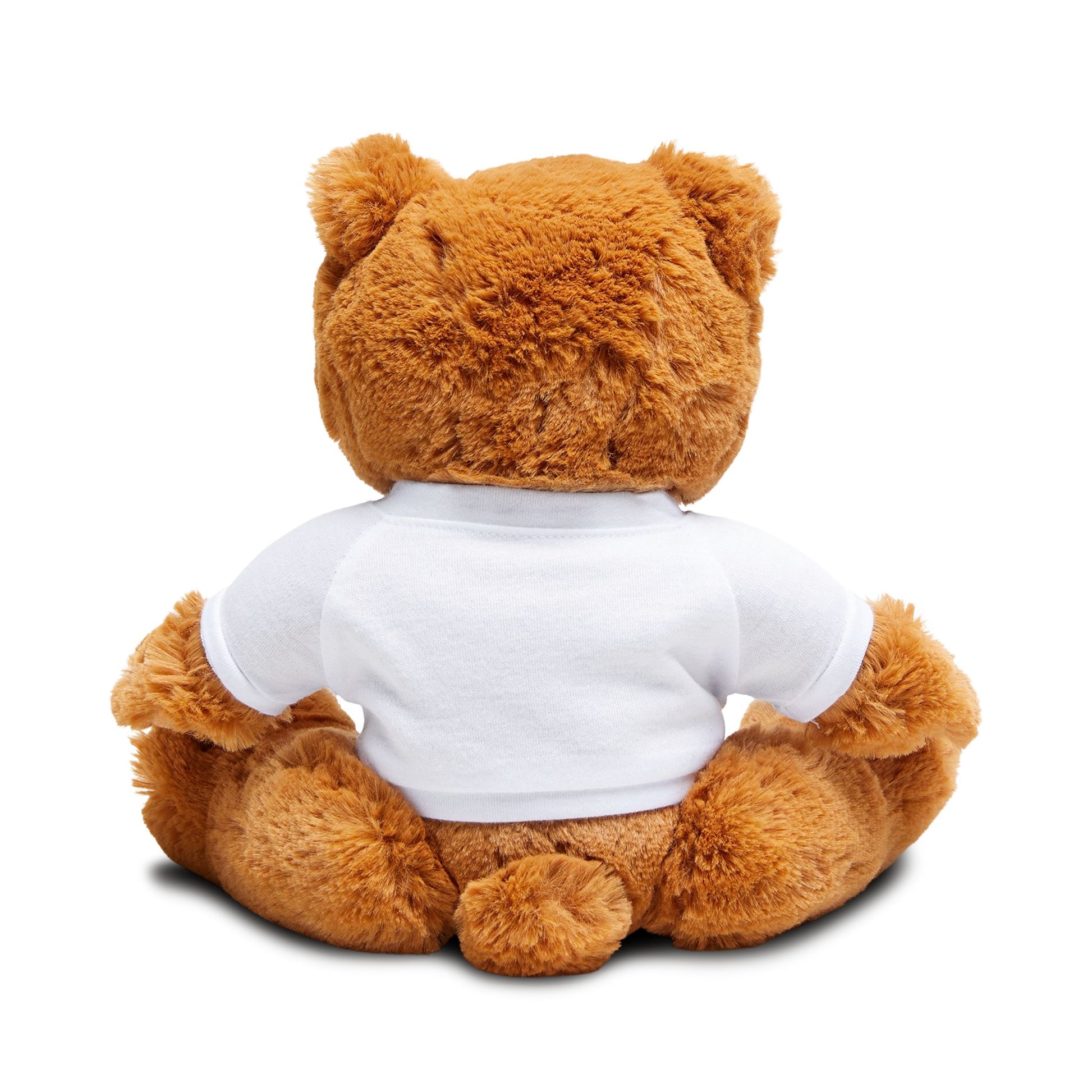 Frankenstein Teddy Bear Plush, Cute Gift for Kids, Stuffed Animal for Halloween, Personalized Teddy with T-Shirt, Cozy Decor for All [...]