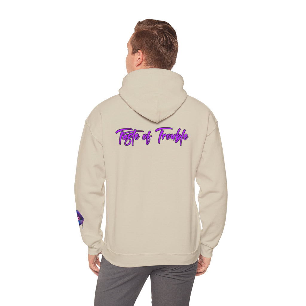 Taste of Trouble Inspirational Hoodie for Creative Souls, Motivational Sweatshirt, Unisex Heavy Blend, Modern Casual Wear, Gift for Artists, Trendy [...]