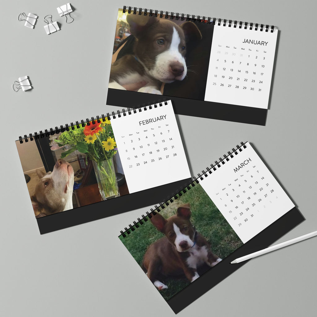 Personalized 2026 Desktop Calendar for Jeter — Photo Grid Desk Calendar (Custom Pet & Family)